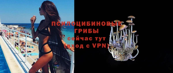 прущие крисы Абаза