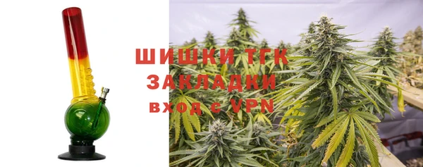 прущие крисы Абаза