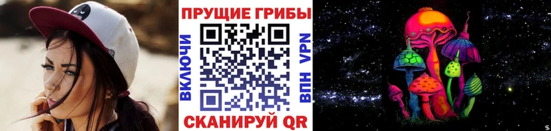 Псилоцибиновые грибы ЛСД  гидра ССЫЛКА  Питкяранта 